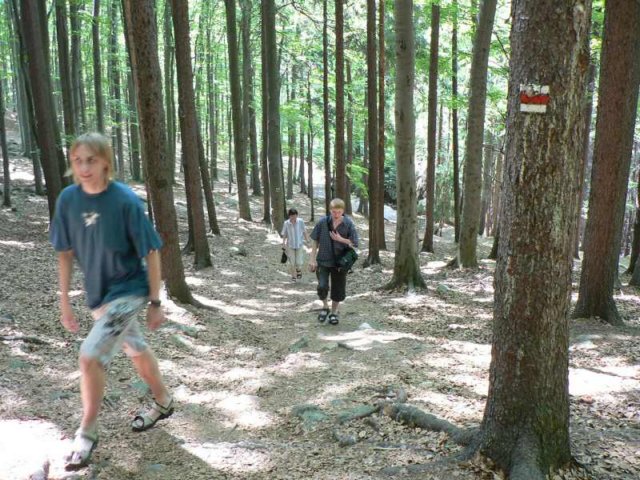 cestanablank3.jpg