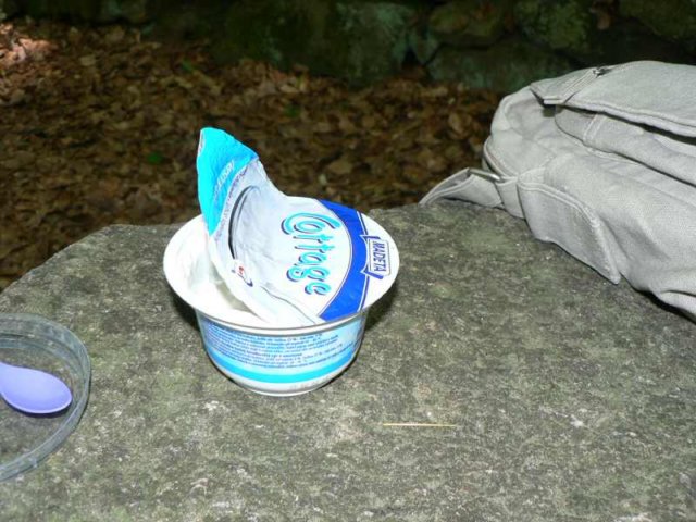 focenpocestzblanku5.jpg