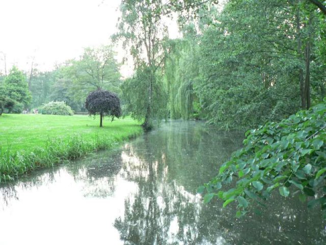 tel25.jpg